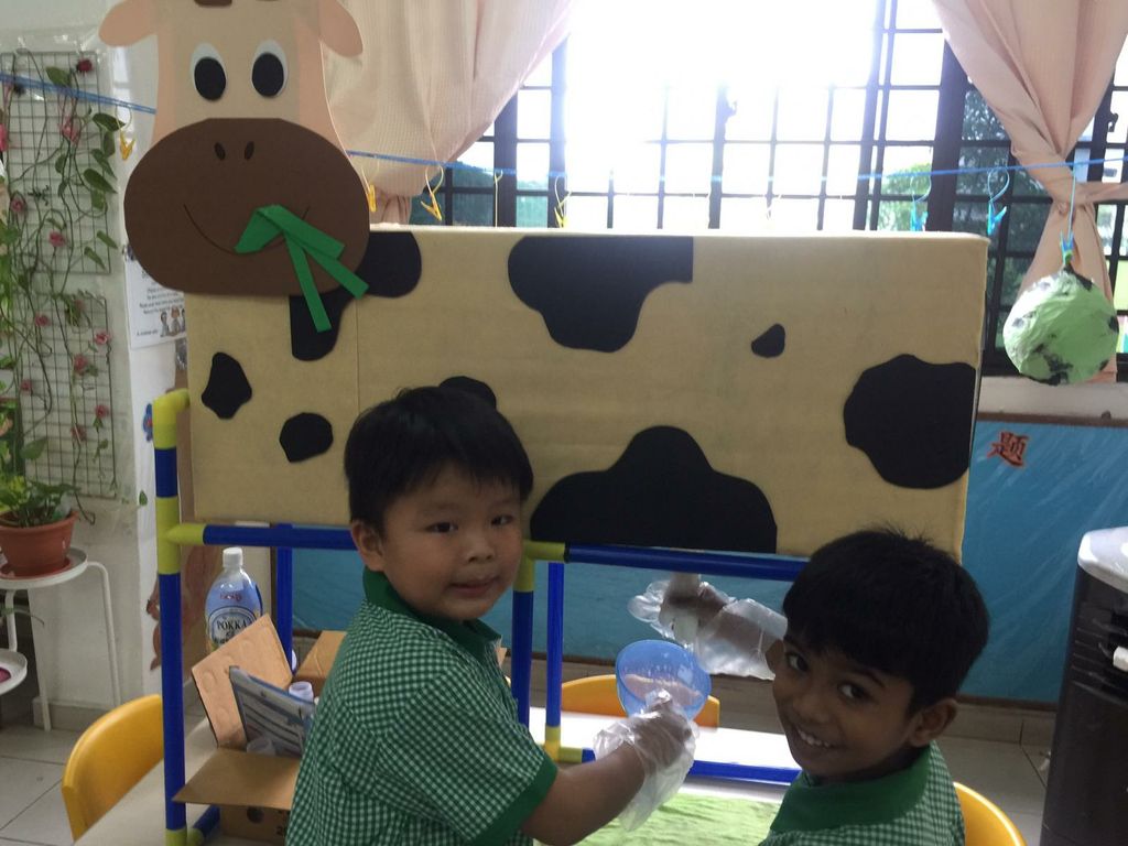 Mr. Moo Activity — photo 4