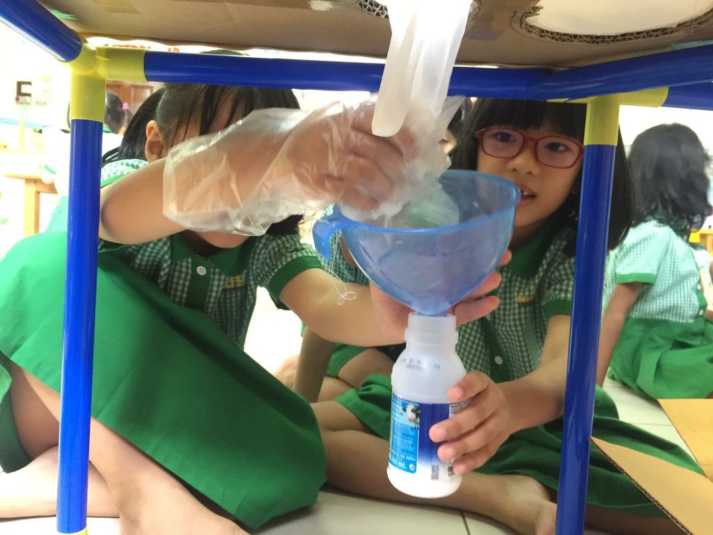 Mr. Moo Activity — photo 5