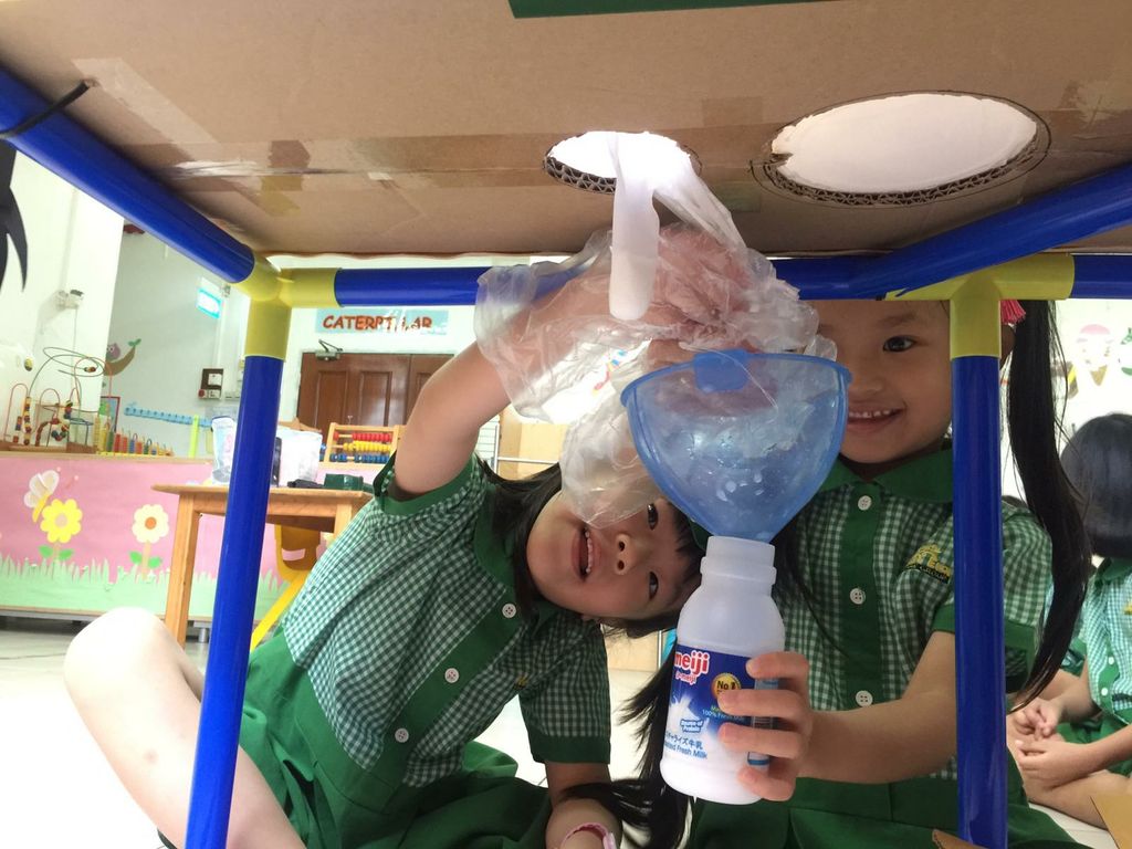 Mr. Moo Activity — photo 6