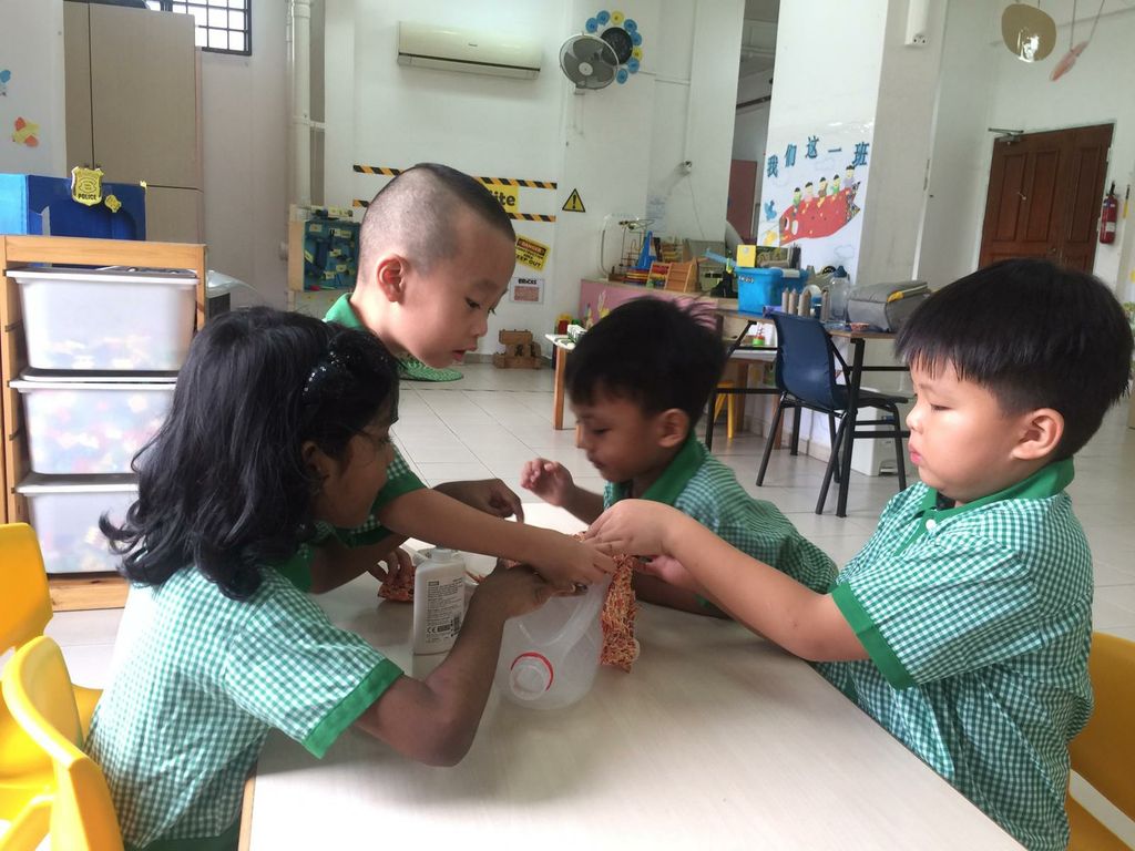 Chicken Art Acttivity (Recycling Project) — photo 3