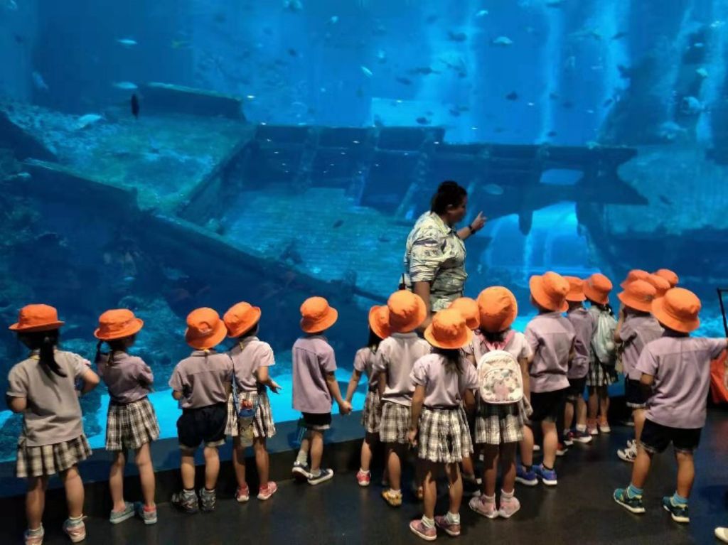 Cherie Hearts Kidz Campus @ Pasir Ris Elias Mall Event : “WOW Wild Learn Programme – Our Learning Journey to S.E.A. Aquarium” on 6 June 2019 (Thursday) — photo 4