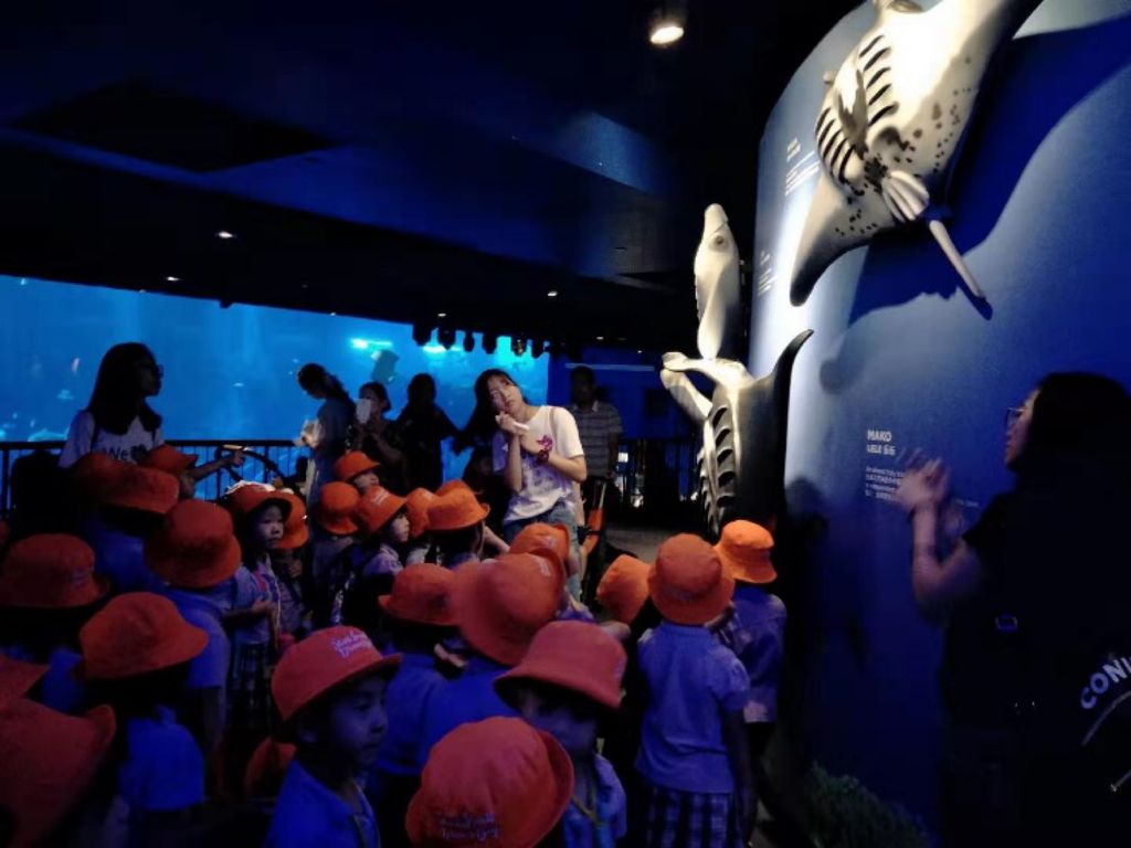 Cherie Hearts Kidz Campus @ Pasir Ris Elias Mall Event : “WOW Wild Learn Programme – Our Learning Journey to S.E.A. Aquarium” on 6 June 2019 (Thursday) — photo 1