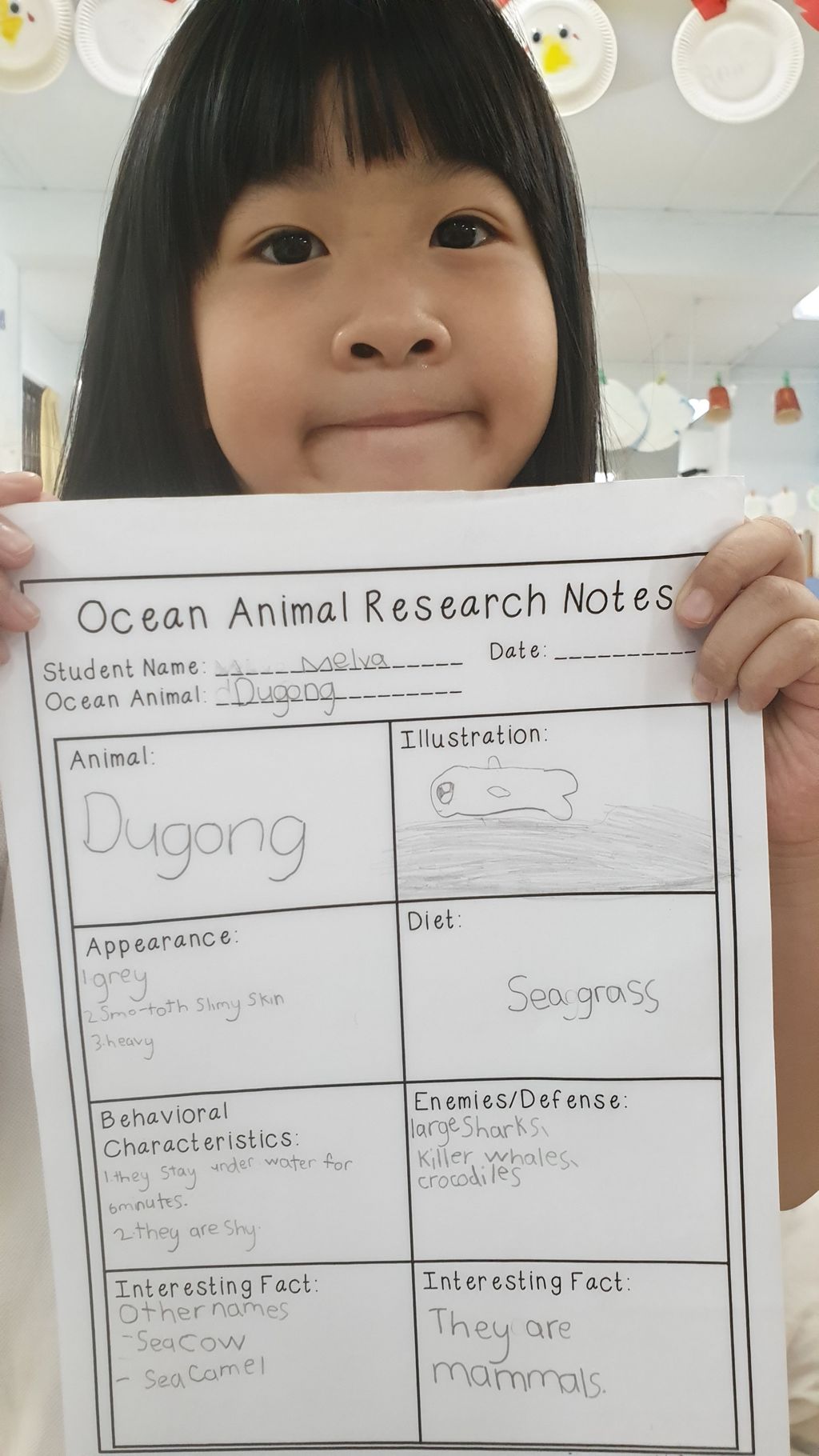 Getting to know the Octopus and Dugong- Research Notes — photo 2