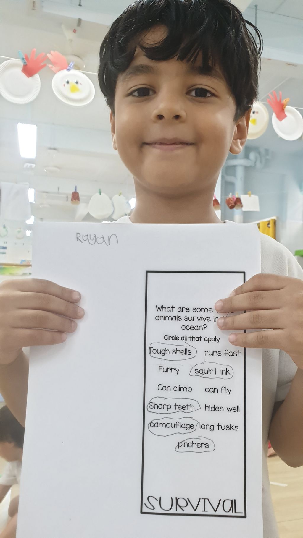 Getting to know the Octopus and Dugong- Research Notes — photo 6
