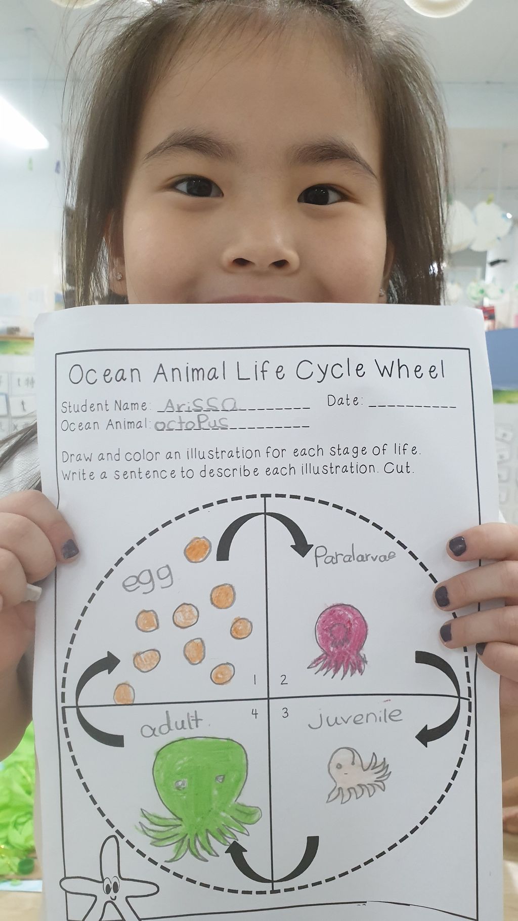 Getting to know the Octopus and Dugong- Research Notes — photo 7
