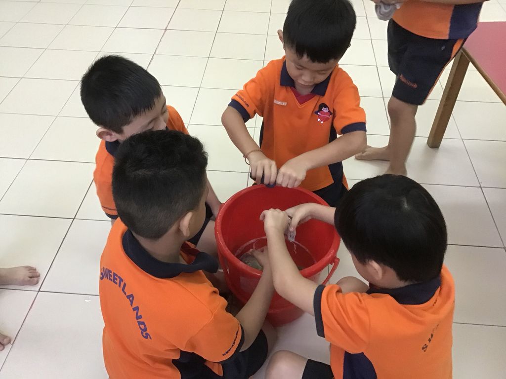Spring Cleaning in School. — photo 10