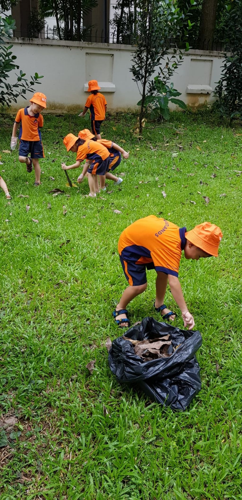 Picking up litter for our environment. — photo 8