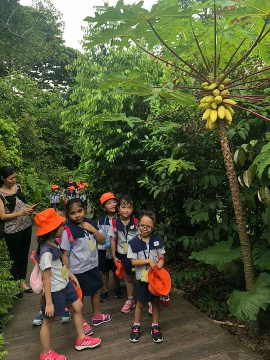 Our Bicentennial Journey: Trip to Jacob Ballads Children's Garden — photo 4