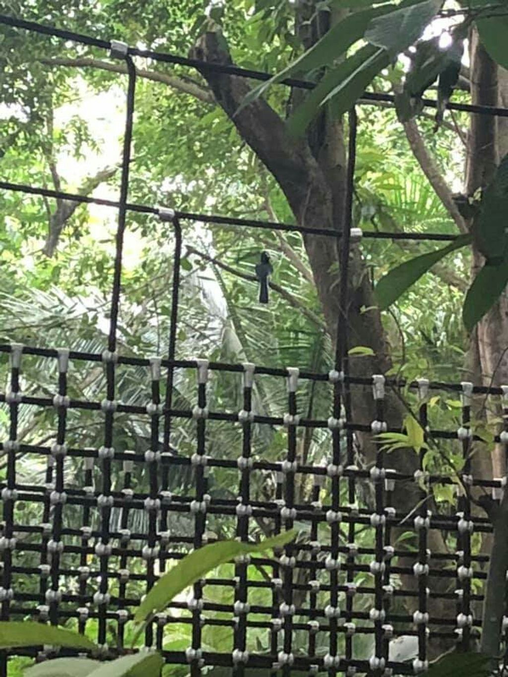 Our Bicentennial Journey: Trip to Jacob Ballads Children's Garden — photo 3