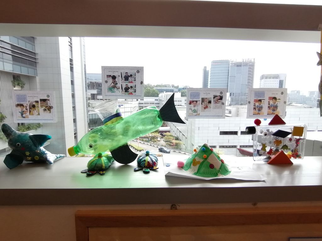 Marine Animals Conservation Awareness — photo 2