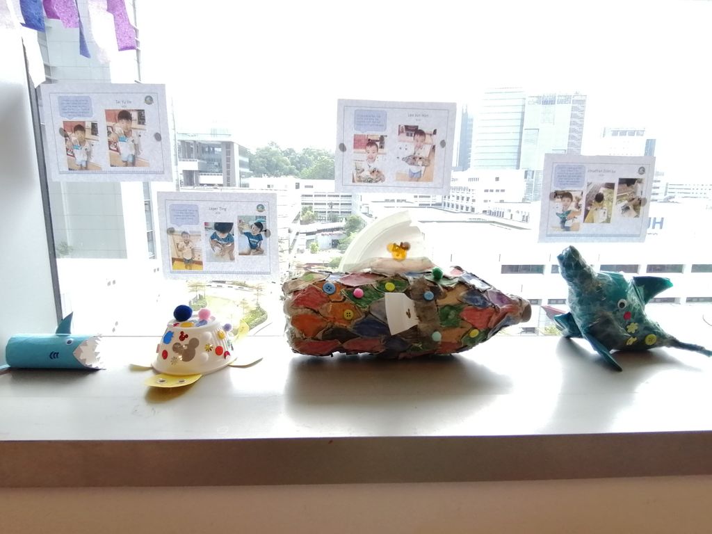 Marine Animals Conservation Awareness — photo 3