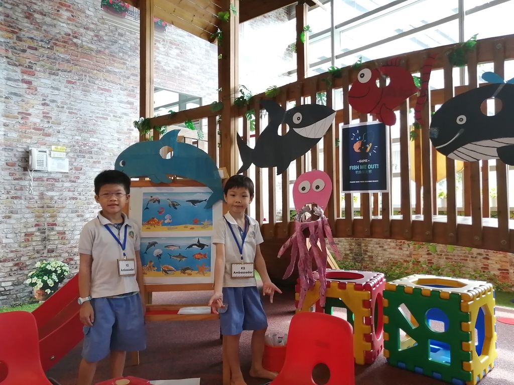 Marine Animals Conservation Awareness — photo 11