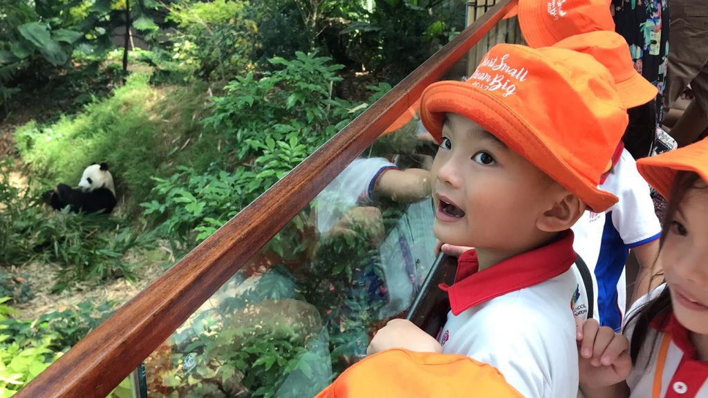 Start Small Dream Big “Kinder Class at the River Safari”