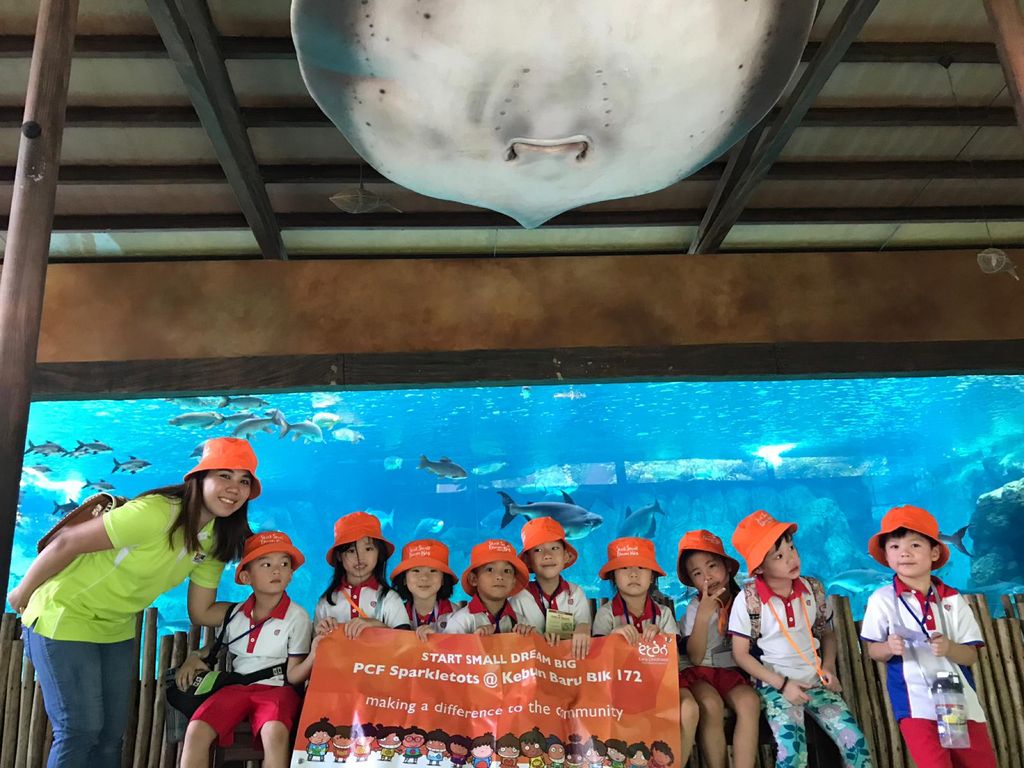 Start Small Dream Big “Kinder Class at the River Safari” — photo 4