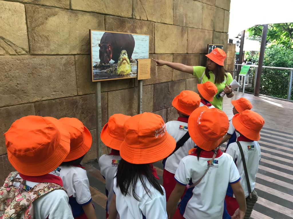 Start Small Dream Big “Kinder Class at the River Safari” — photo 6