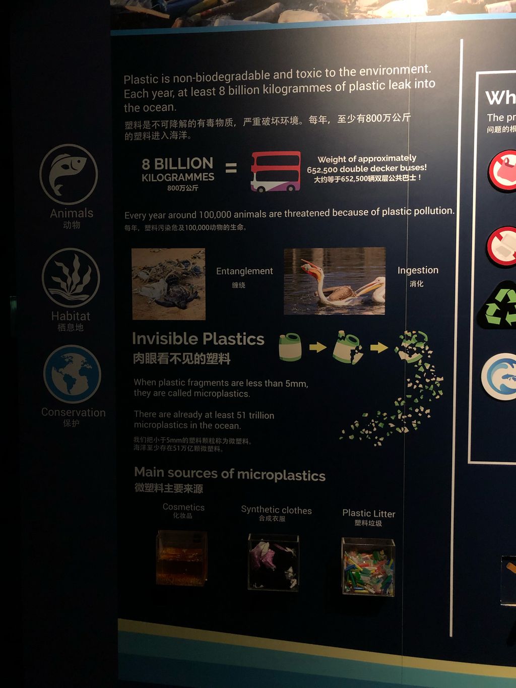 Marine Conservation: Reduce Plastic Waste — photo 4