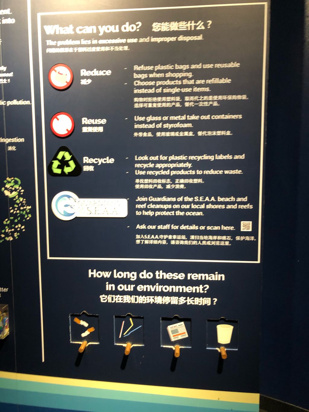 Marine Conservation: Reduce Plastic Waste — photo 5