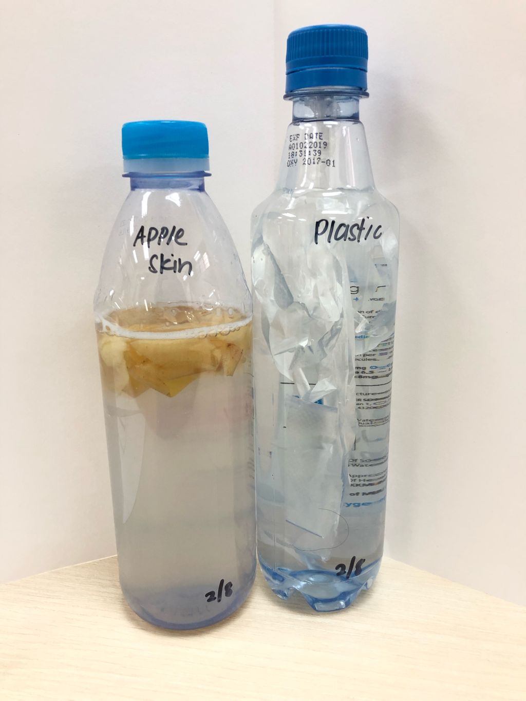 Marine Conservation: Reduce Plastic Waste — photo 1