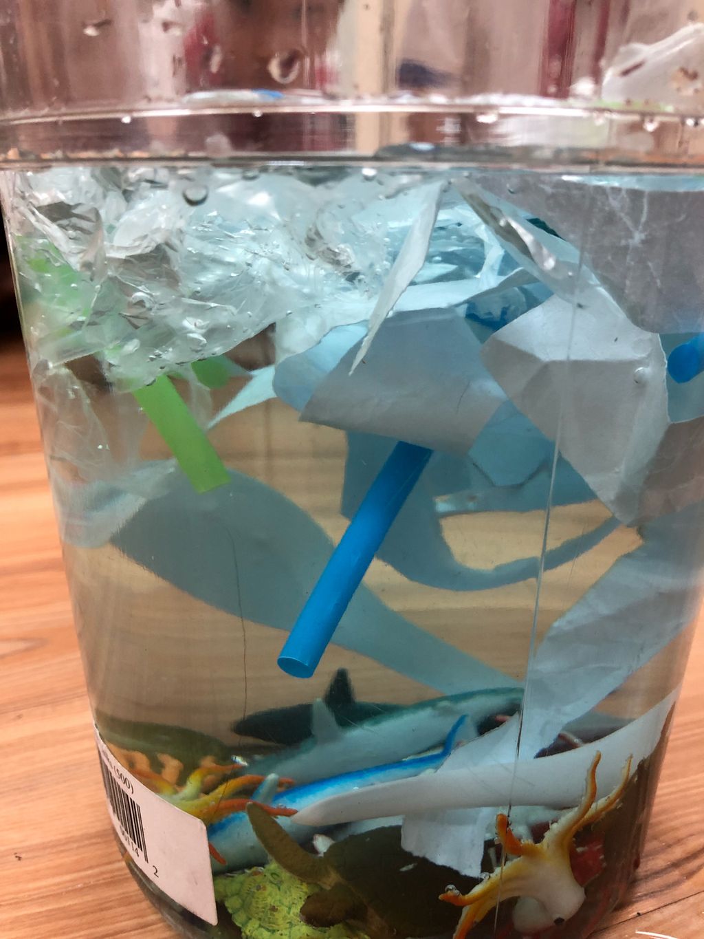 Marine Conservation: Reduce Plastic Waste — photo 1