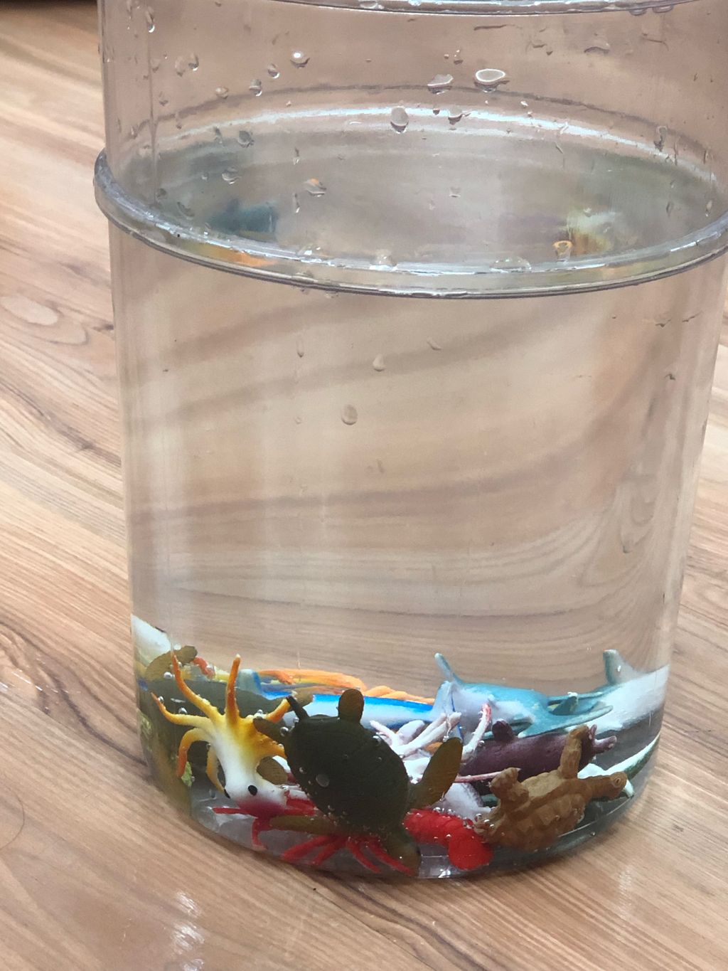 Marine Conservation: Reduce Plastic Waste — photo 3