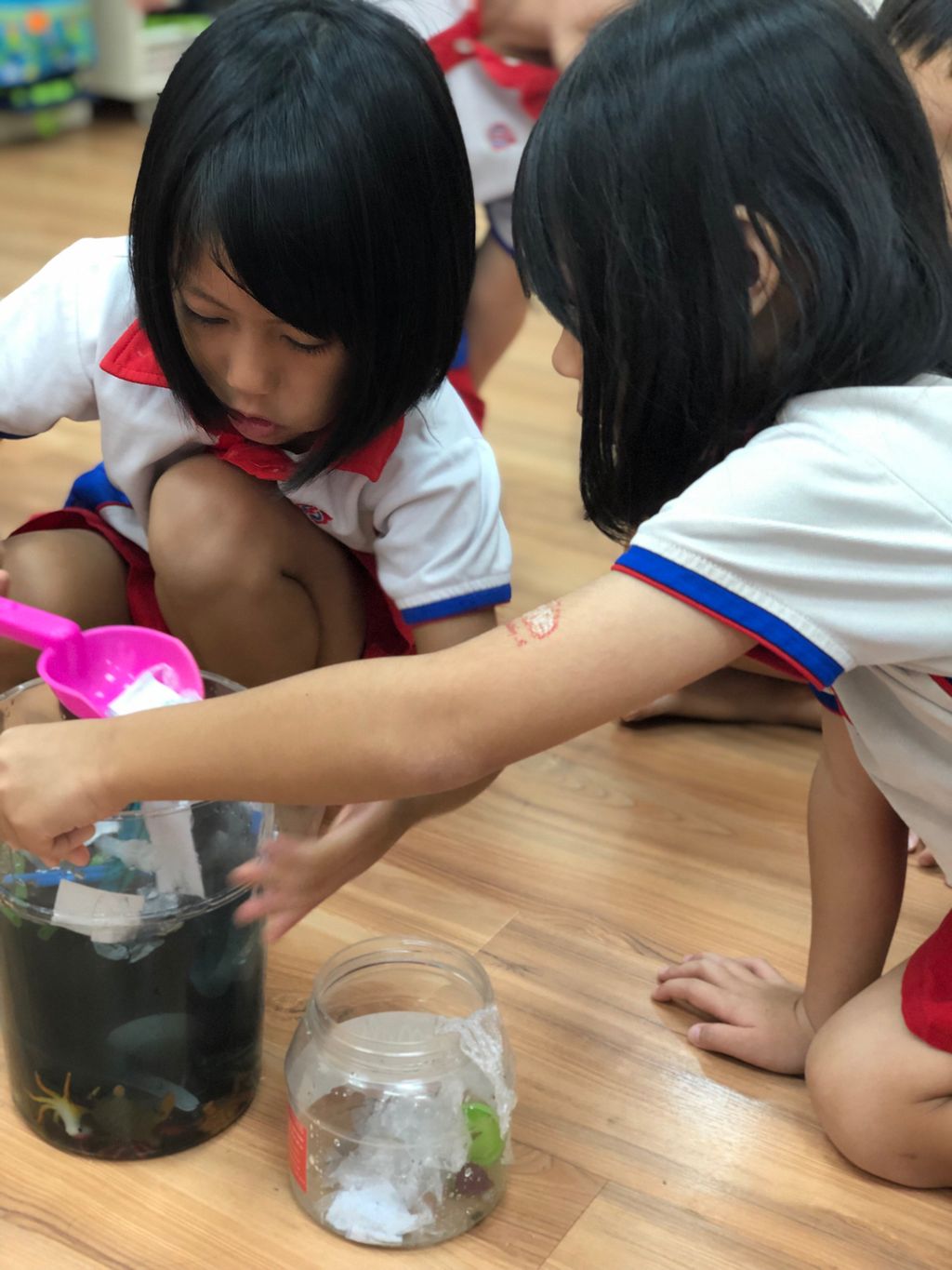 Marine Conservation: Reduce Plastic Waste — photo 6