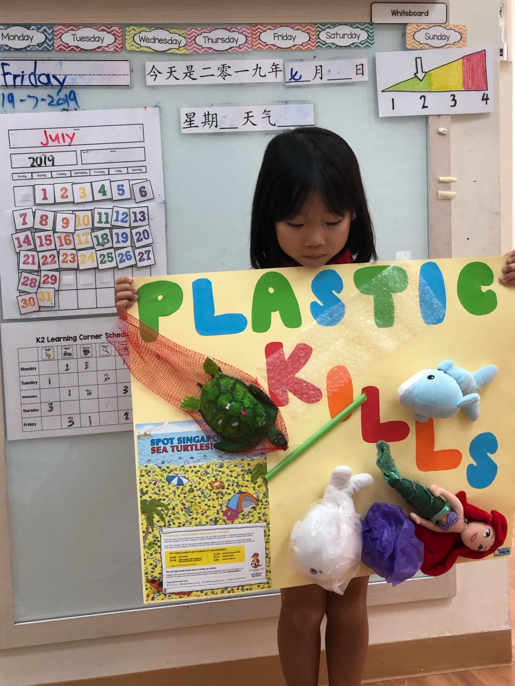 Marine Conservation: Reduce Plastic Waste — photo 4