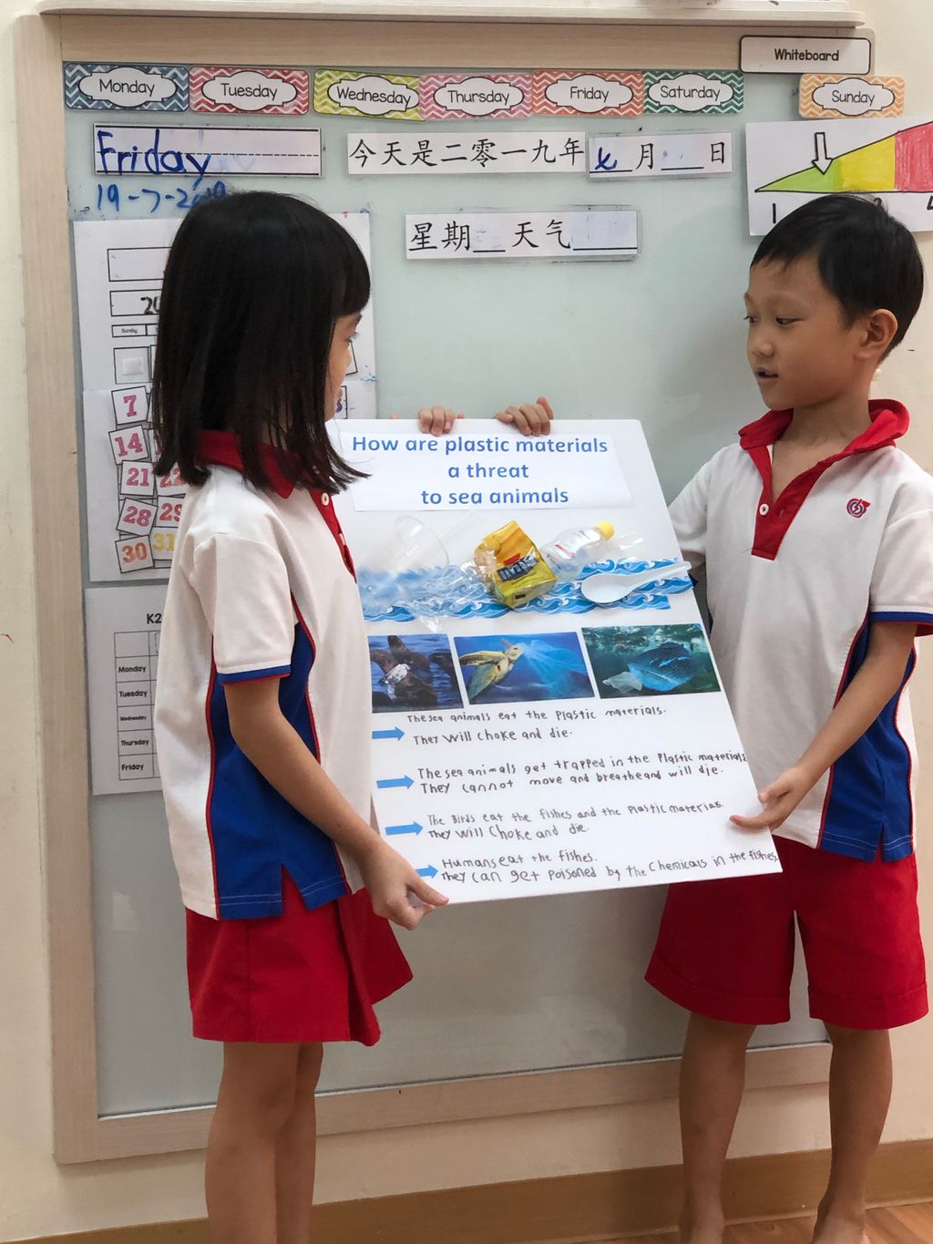 Marine Conservation: Reduce Plastic Waste — photo 5