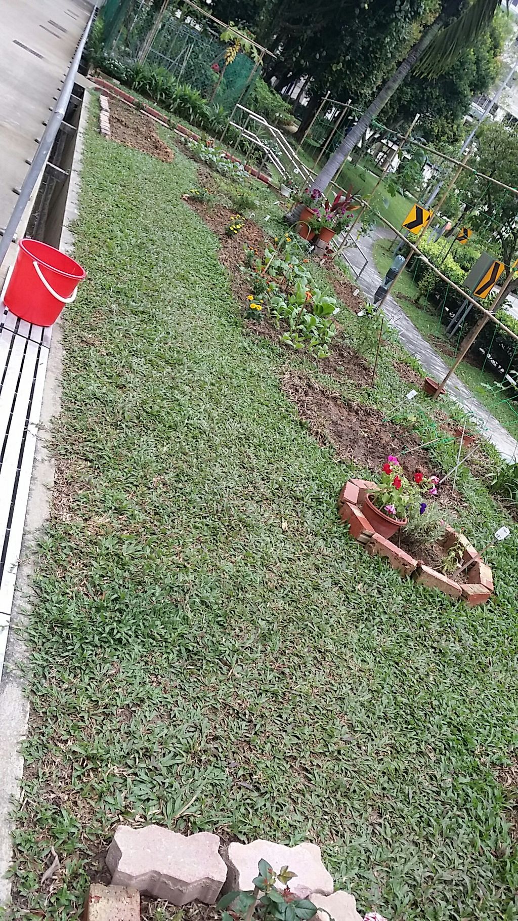 Littlelives-Our SSDB Project — photo 1