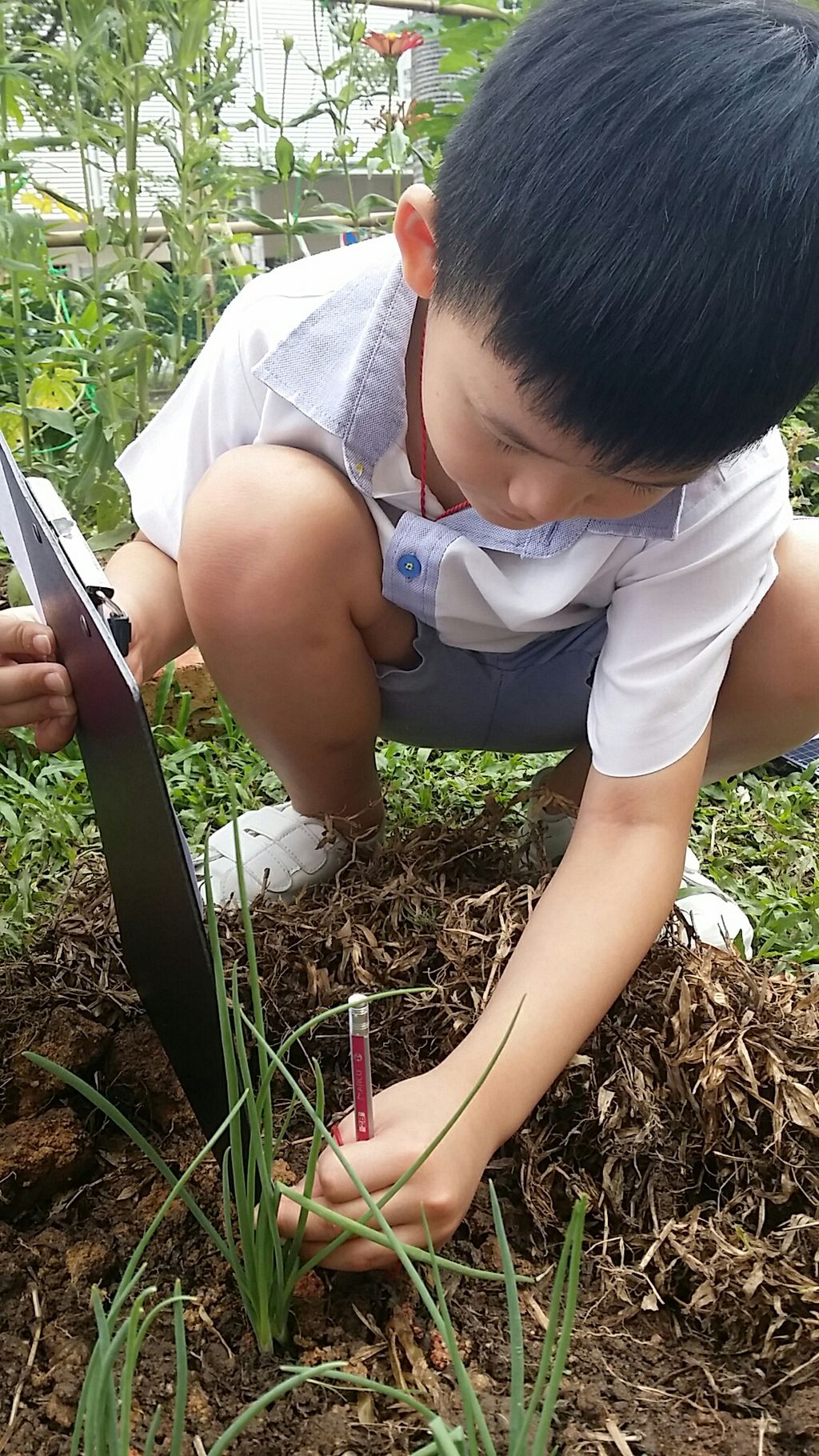 Littlelives-Our SSDB Project — photo 1