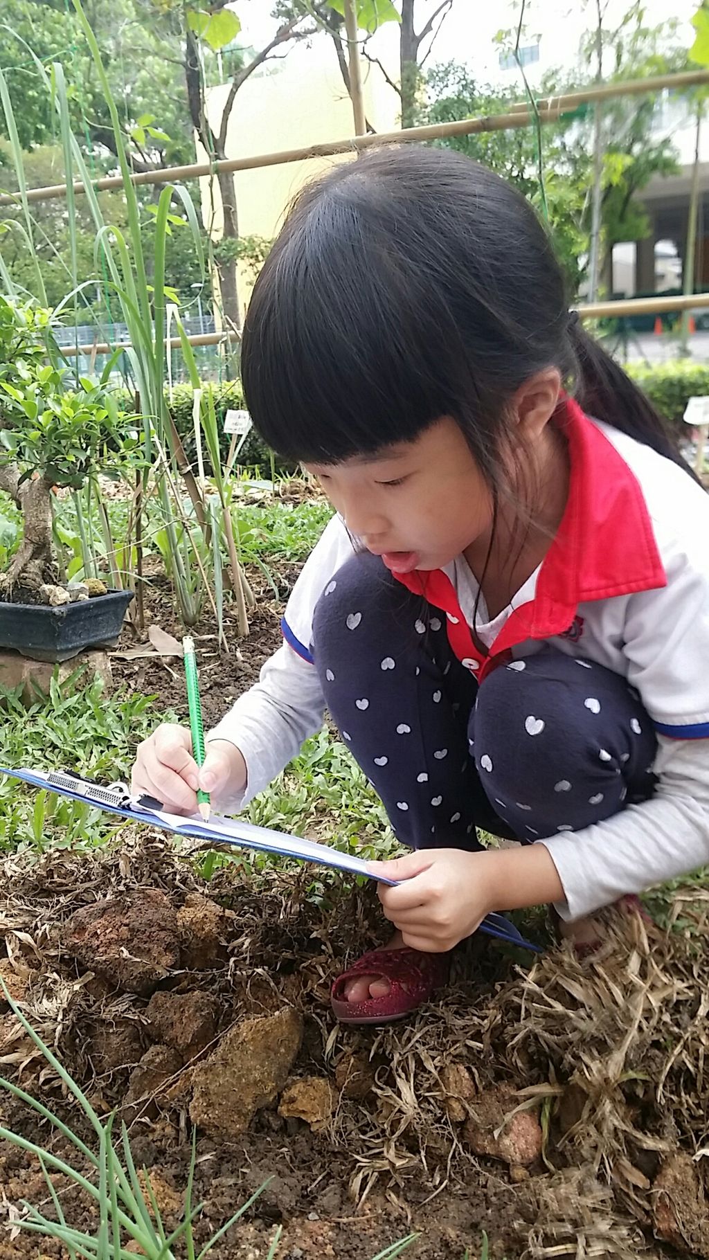 Littlelives-Our SSDB Project — photo 2