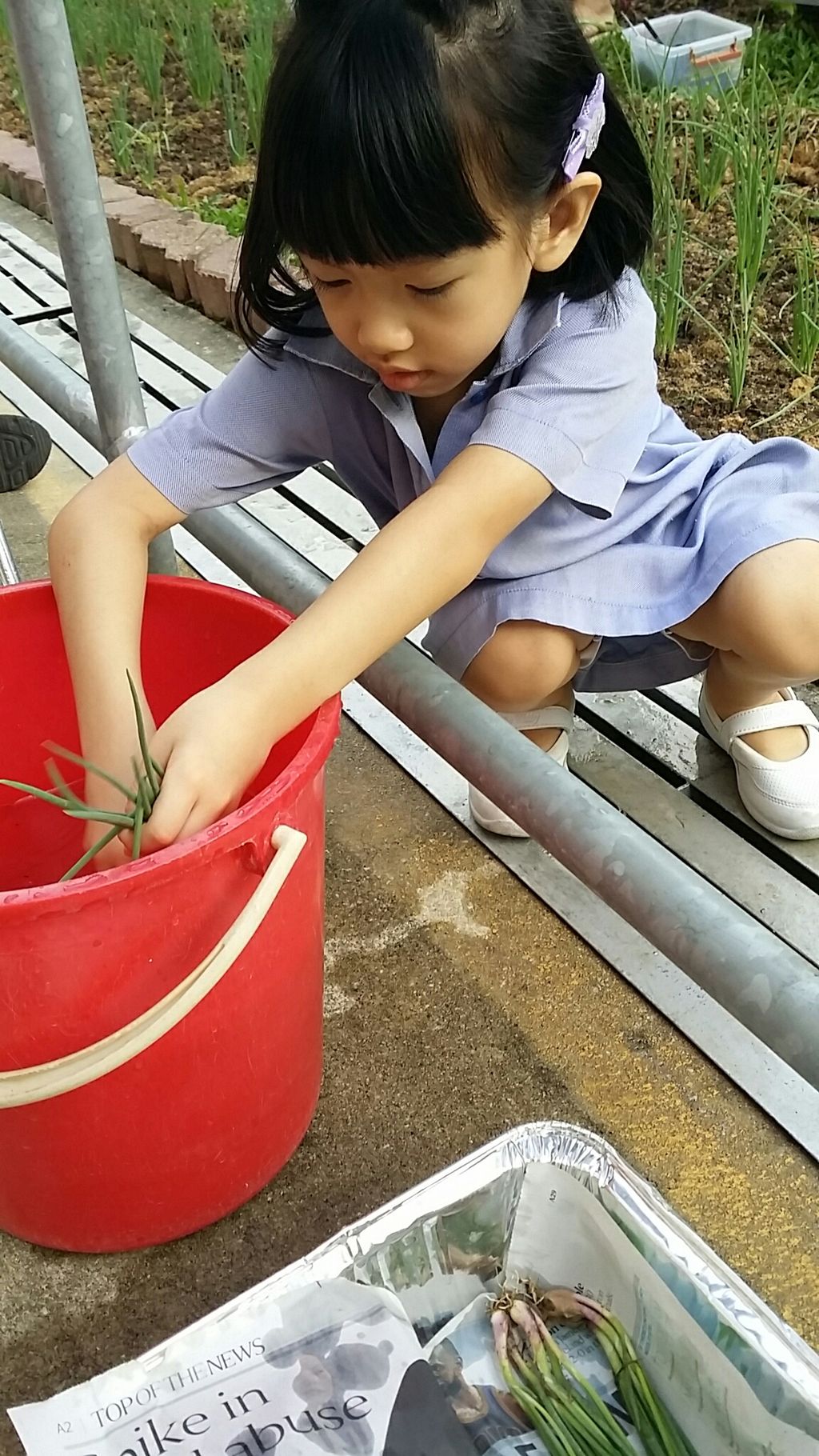 Littlelives-Our SSDB Project — photo 1