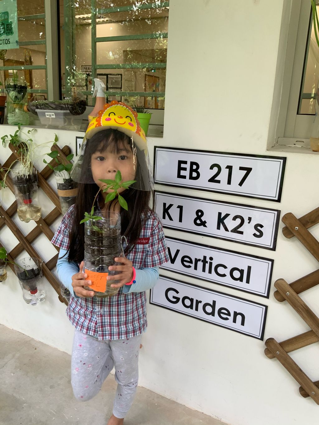 E-Bridge 217 Edible Vertical Garden — photo 4