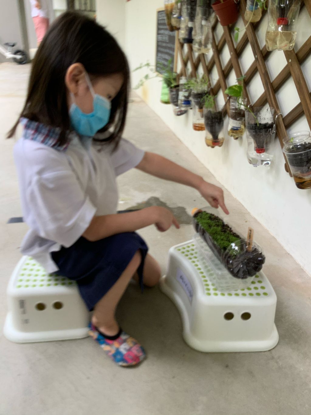 E-Bridge 217 Edible Vertical Garden — photo 5