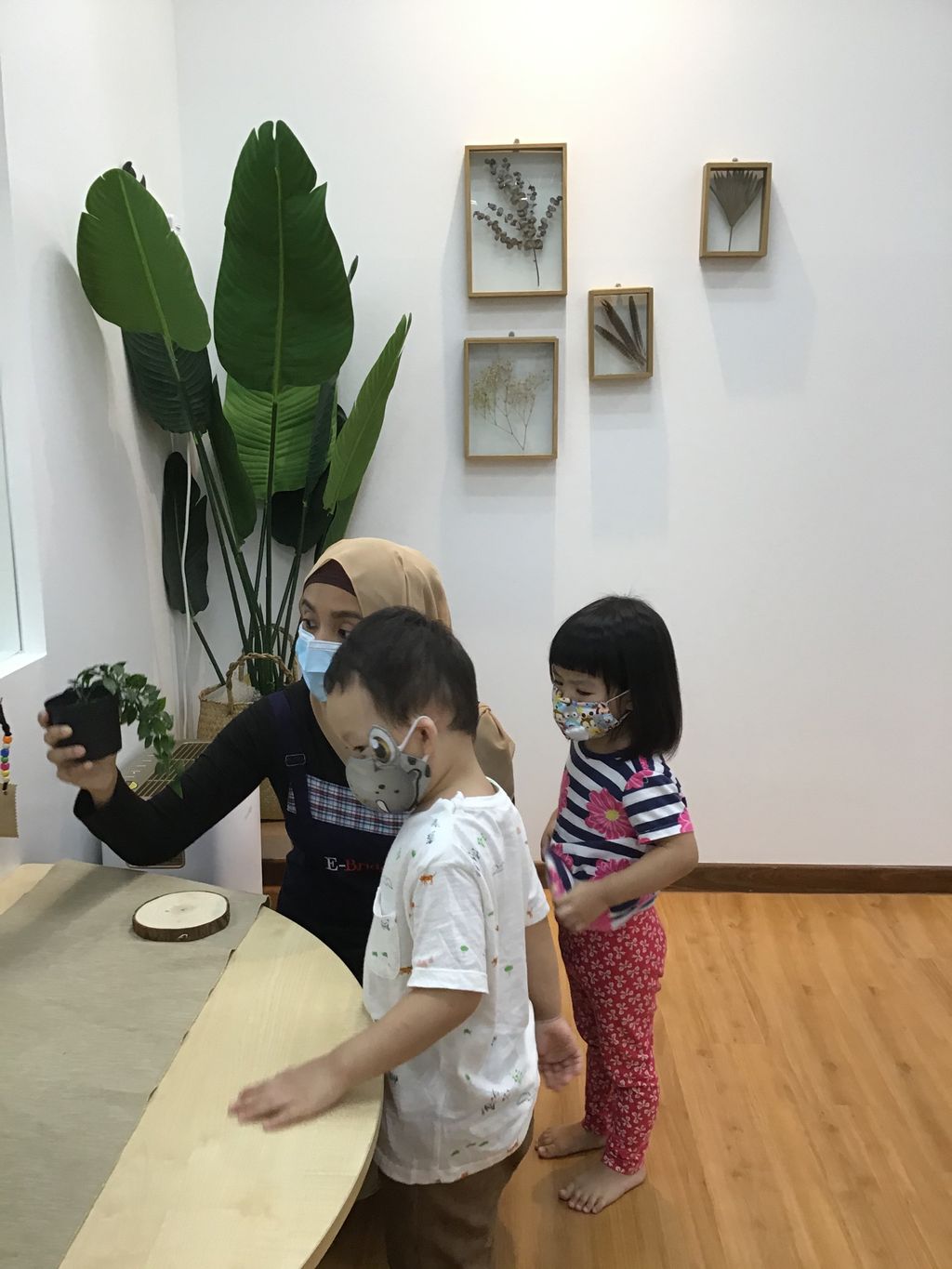 Plants in our centre — photo 2