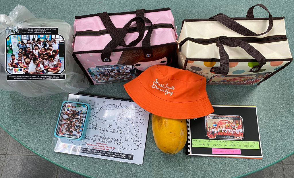 Caring from a Distance with 261 - SSDB 2020 — photo 4