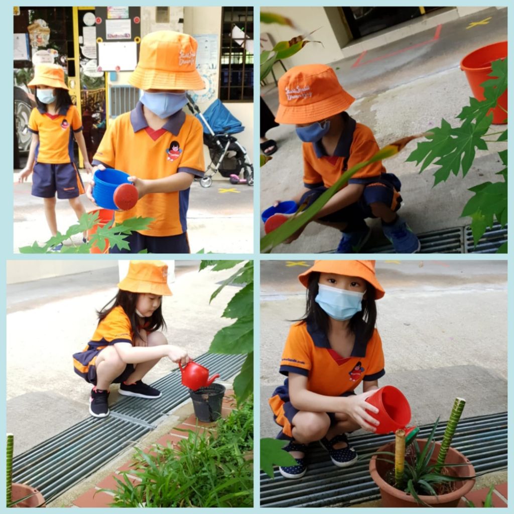 Sweetlands Childcare Woodlands 643 Private Limited Every Drop Counts💧Save Water 💦 — photo 2