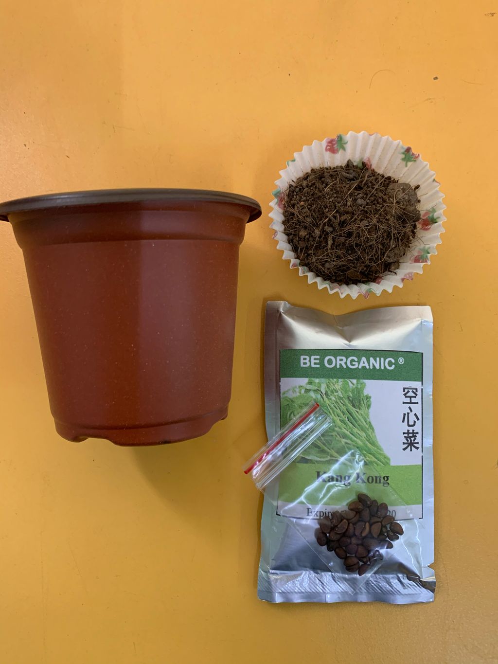 Growing Our Own Edibles