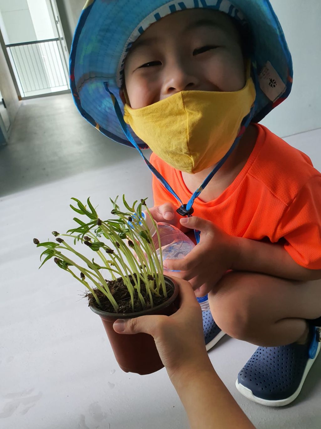 Growing Our Own Edibles — photo 2
