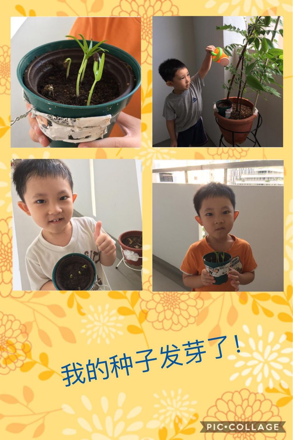 Growing Our Own Edibles — photo 3
