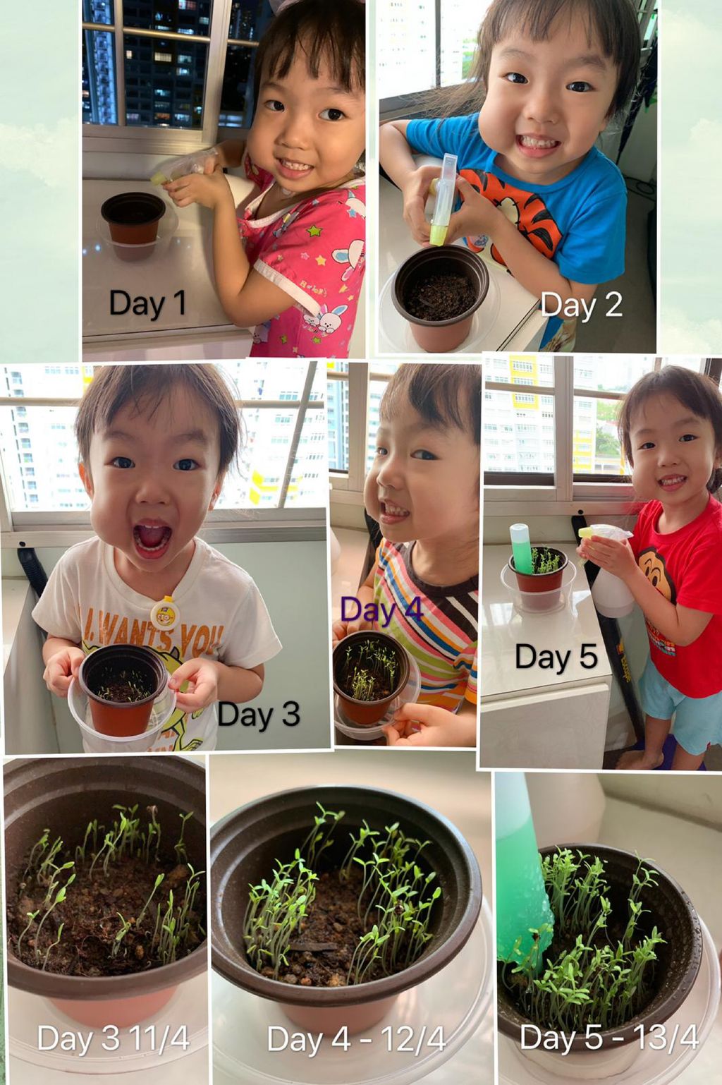 Growing Our Own Edibles — photo 9