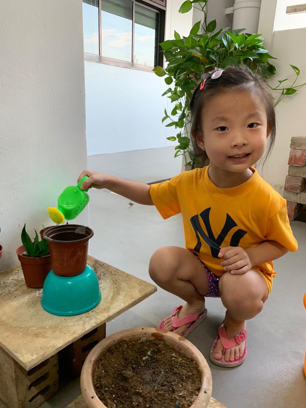 Growing Our Own Edibles — photo 11