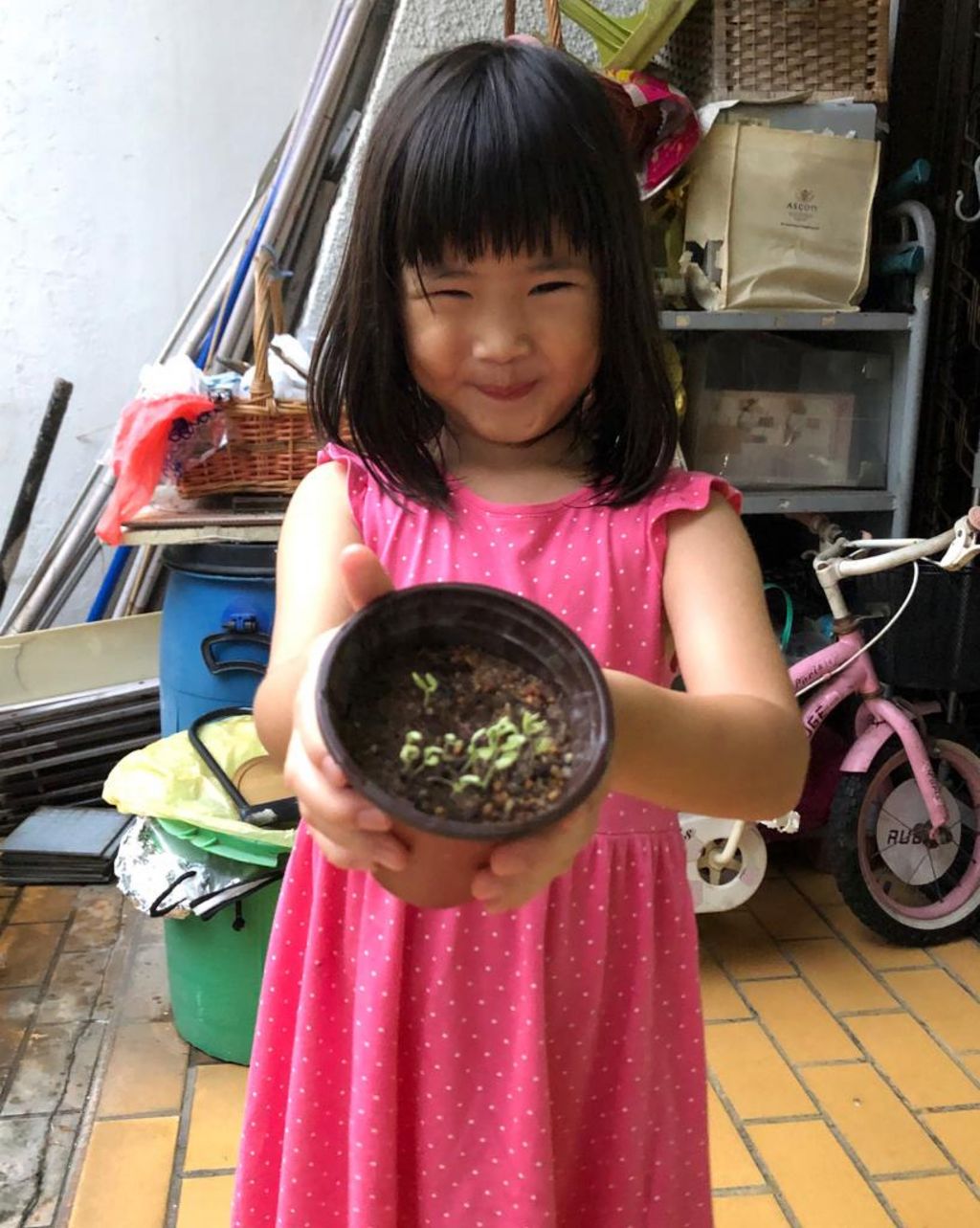 Growing Our Own Edibles — photo 12
