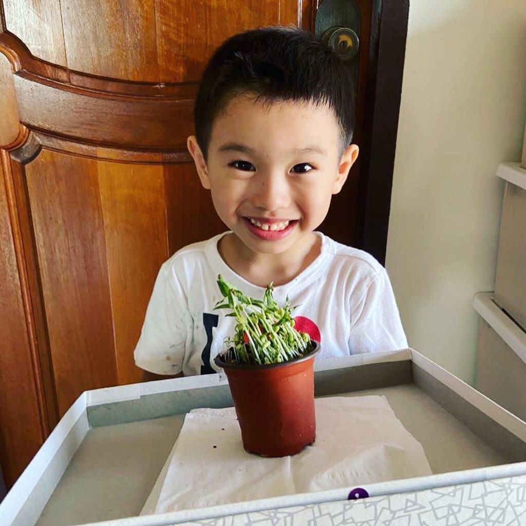 Growing Our Own Edibles — photo 13