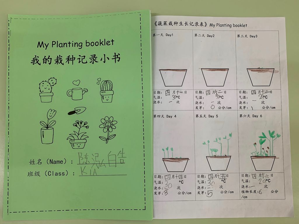 Growing Our Own Edibles — photo 14