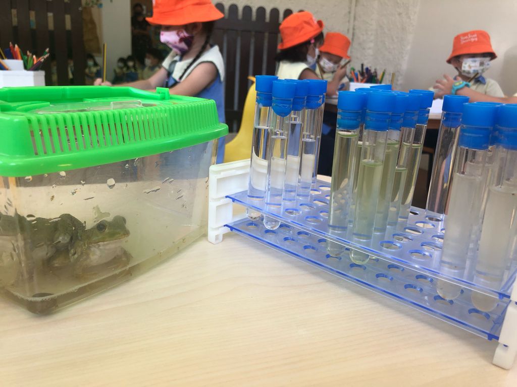 Water for you, me and the world! Ocean bottle activity and pond water lesson. — photo 3