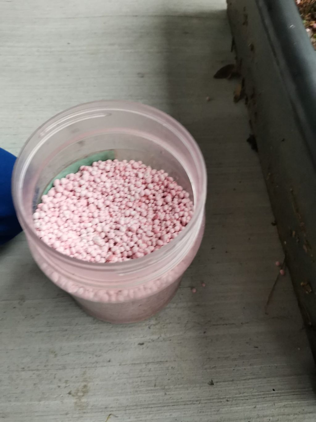 Week 3 & 4: ‘Nature and Me!’ – Insecticide; Harmful or Helpful? — photo 1
