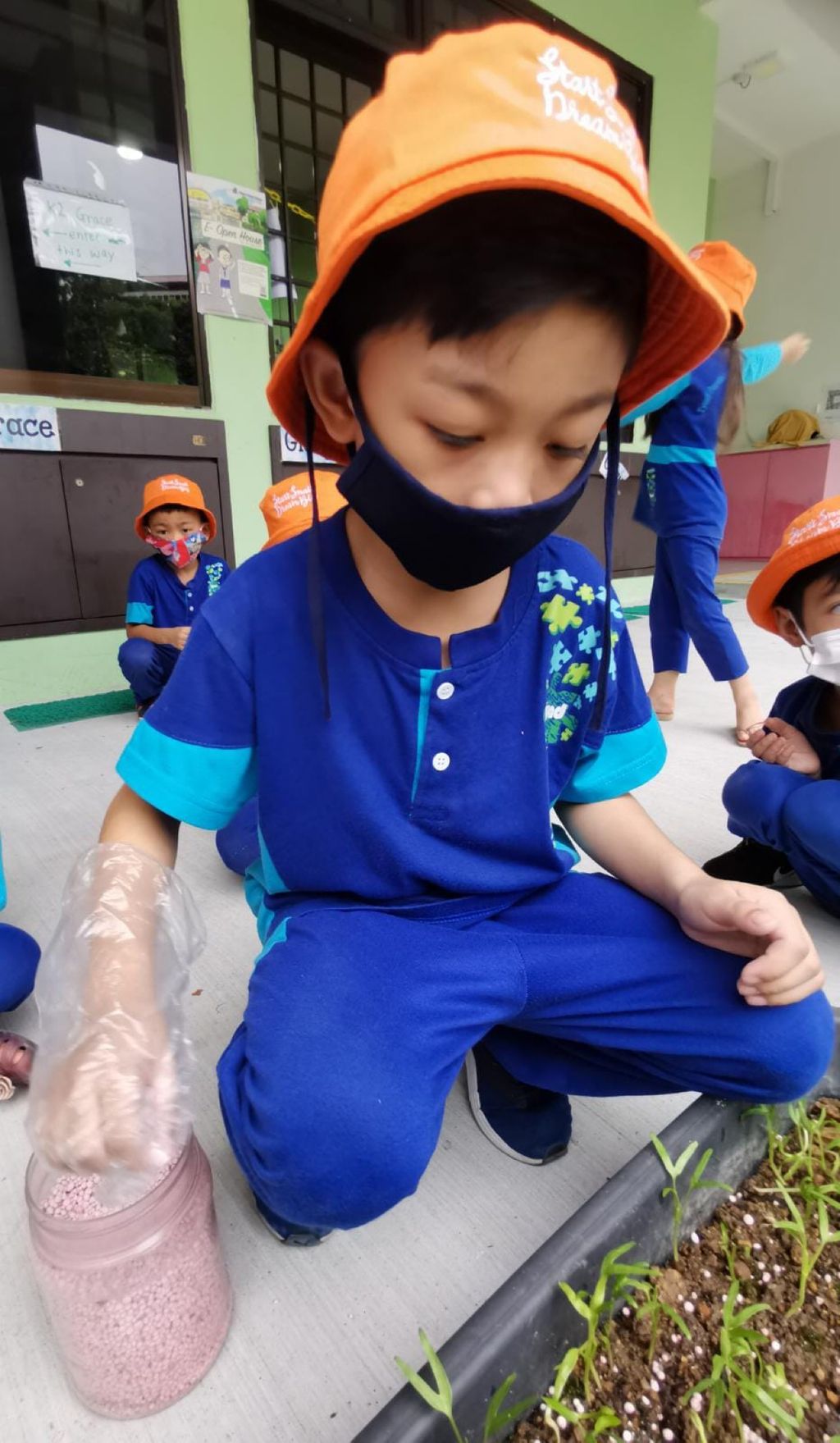 Week 3 & 4: ‘Nature and Me!’ – Insecticide; Harmful or Helpful? — photo 5