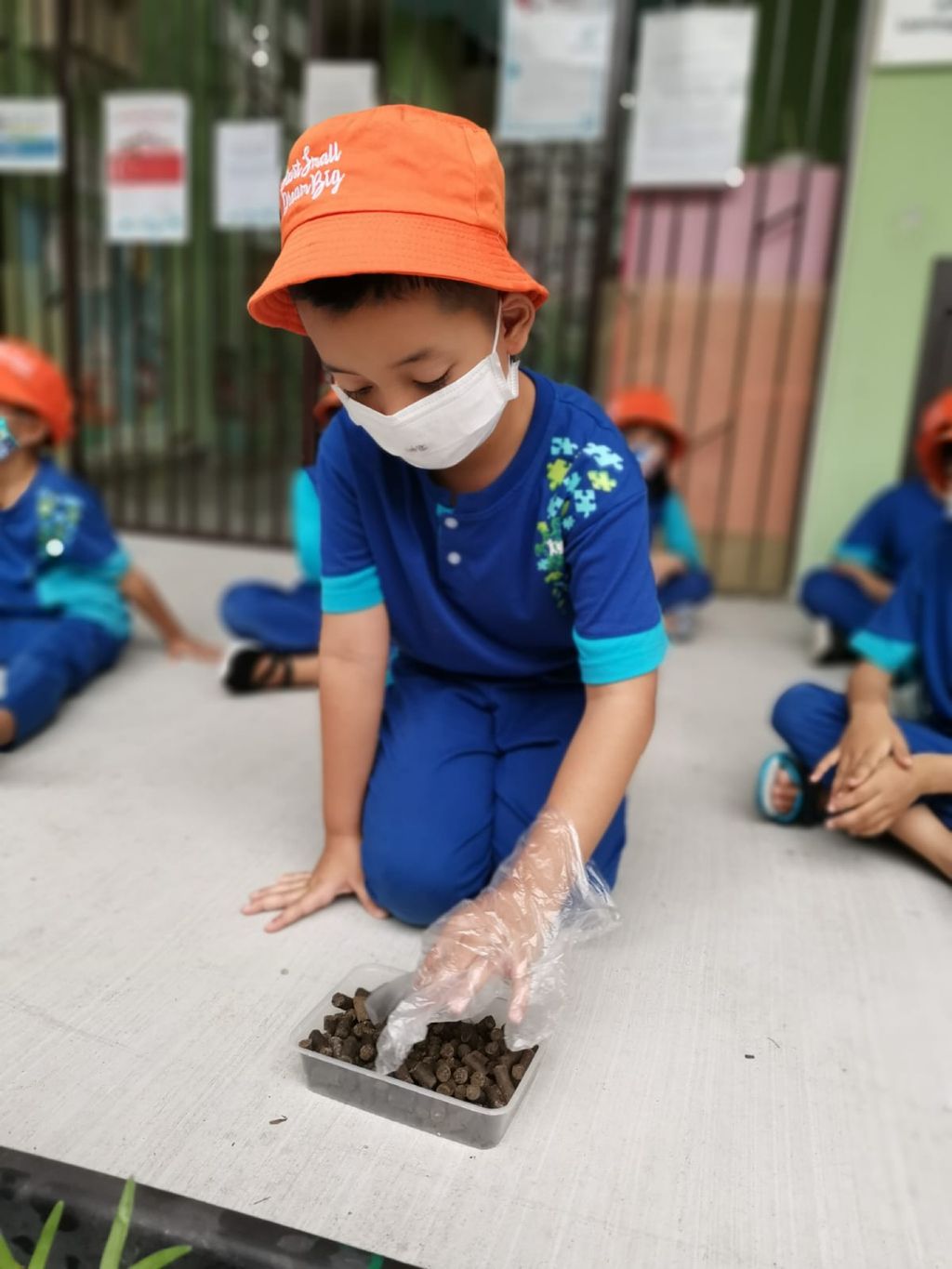 Week 3 & 4: ‘Nature and Me!’ – Insecticide; Harmful or Helpful? — photo 10