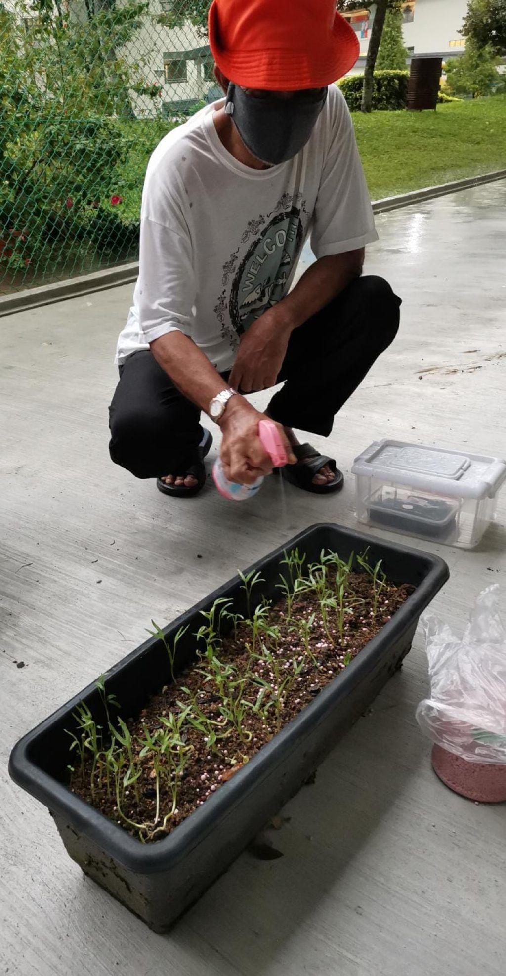 Week 3 & 4: ‘Nature and Me!’ – Insecticide; Harmful or Helpful? — photo 1
