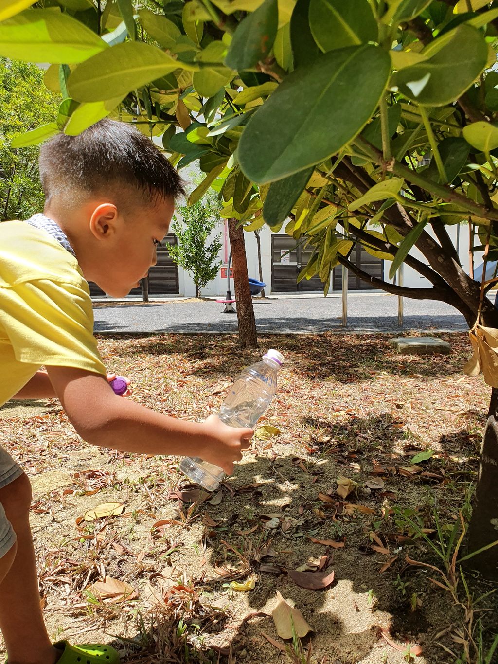 Caring For The Environment by Skool4Kidz @ Tampines Greenleaf — photo 3